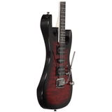 Ibanez GRX70QA RG Electric Guitar – TRB